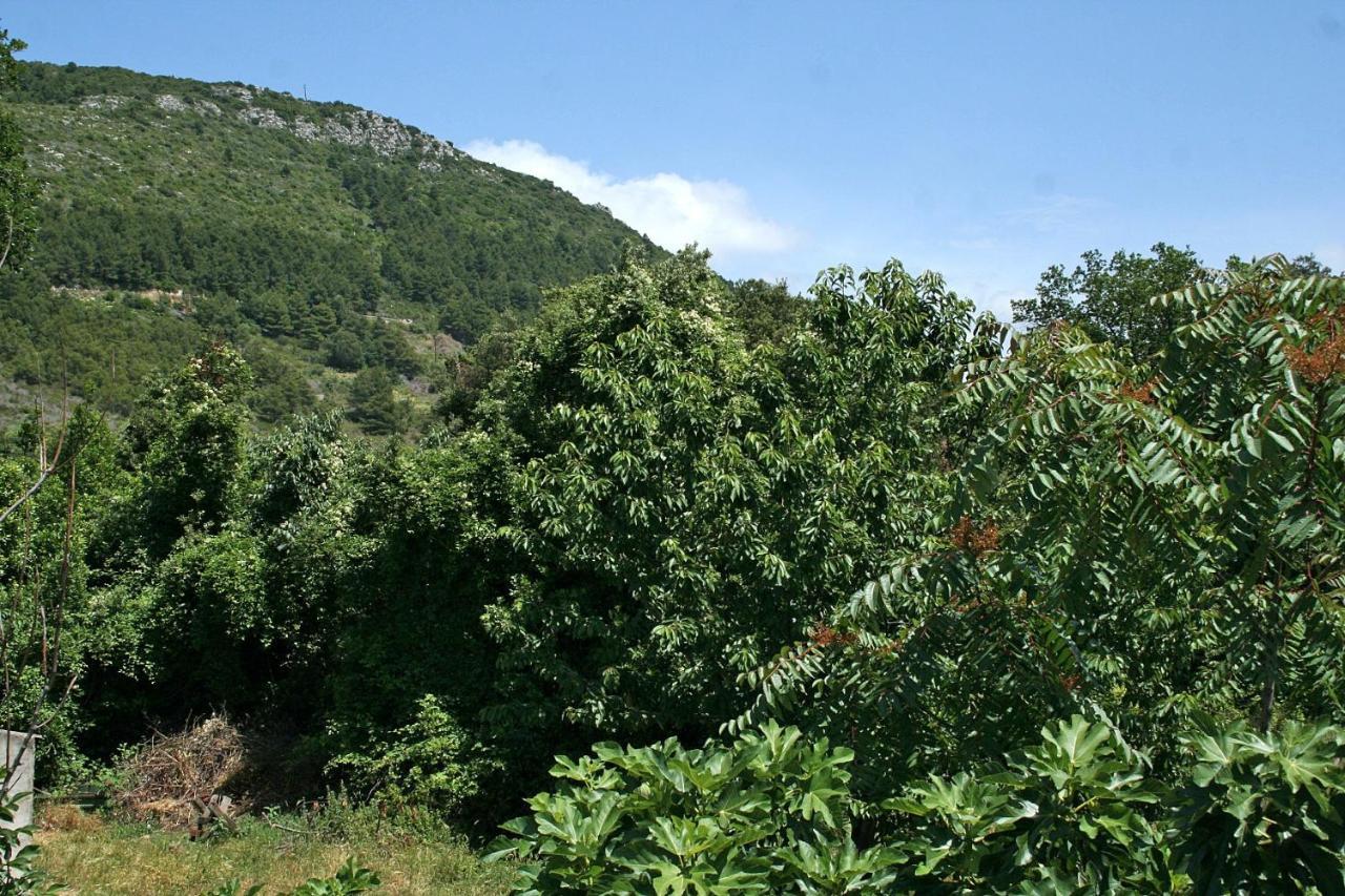Apartments With A Parking Space Zuljana, Peljesac - 4574 Exterior photo